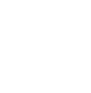 RheinRaum Events